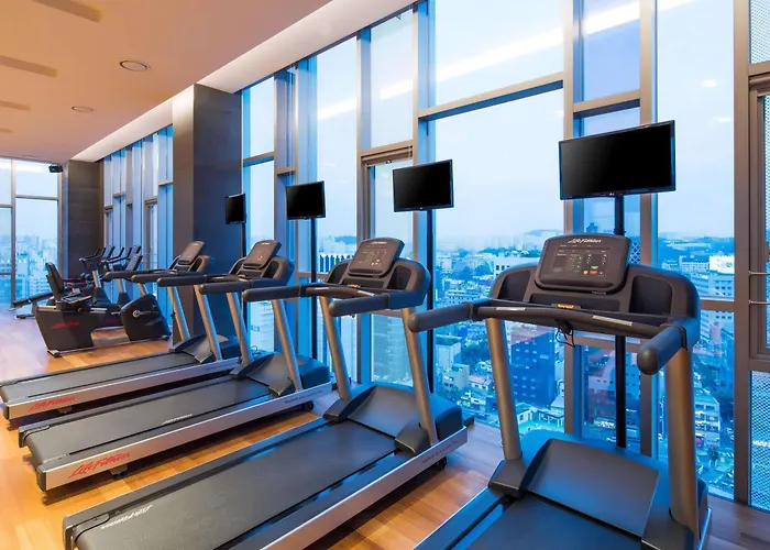 Novotel Ambassador Dongdaemun & Residences 5* Seul